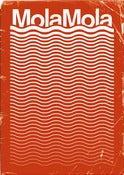 Image of Mola Mola poster