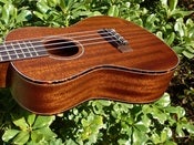 Image of Kala Solid Mahogany Concert KA-SMHC