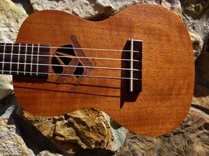 Image of aNueNue World Mahogany Series Eagle