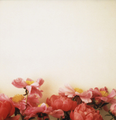 Image of flowers cover everything