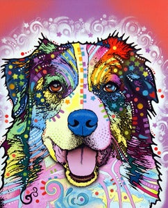 Image of Australian Shepherd PRINT