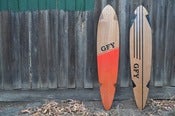 Image of Pintail