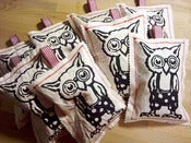 Image of The little owl that keeps the moths away