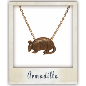 Image of Armadillo