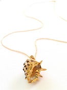 Image of Gold Dipped Drupe Shell Necklace