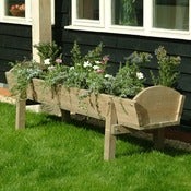 Image of  Daisy Hardcastle Large Manger Planter