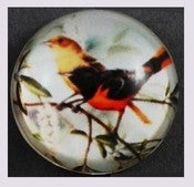 Image of Cabochon et sertissage 25mm : Thème oiseau