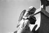 Image of Angel black and white film photograph
