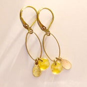 Image of EARS - oreilles ovale, larme & pastille