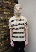 Image of Shredded 4