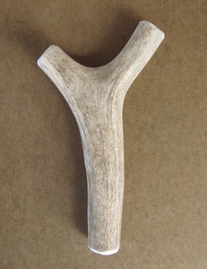 Image of MEDIUM Y Elk Antler Chew Toy