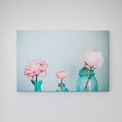 Image of Three Blooms