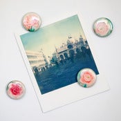 Image of Bloom magnets