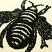 View image 2