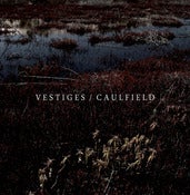 Image of Vestiges / Caulfield split 7"