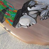 Image of BOARD WELL (Lindsay Carron)