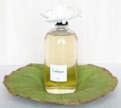 Image of 16oz Liquid Soap