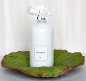 Image of 16 oz lotion