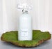 Image of 16 oz lotion