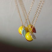 Image of Glassy Acorn