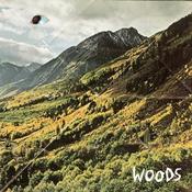 Image of WOODS 'TO CLEAN' 7" **SOLD OUT**