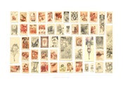 Image of Smarts Collected ( #1-#50 ) 
