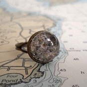 Image of Beach Sand Ring from the coast of Maine