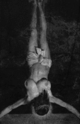 Image of Anti Venom- Too Sick to Save /35