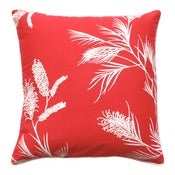 Image of Medium Cushion Cover-GREVILLEA IN RED