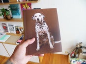 Image of In Almost Every Picture - Dog