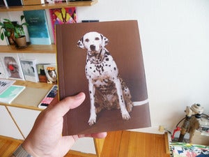Image of In Almost Every Picture - Dog