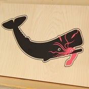 Image of Jolly Sperm Whale