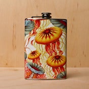 Image of Jellyfish
