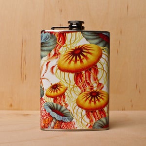 Image of Jellyfish