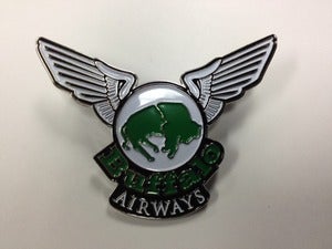 Image of Buffalo Flight Pin