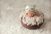 Image of Green Sleeping Owl