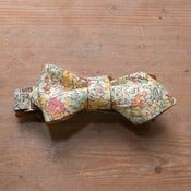 Image of Spring Floral Bow Tie