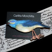 Image of Blue Bird