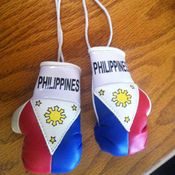 Image of Philippines Rear View Boxing Gloves