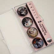 Image of Set of Four IBKC Magnets featuring Clifford, Miranda and Hester Sue, Camille, and Thurston 