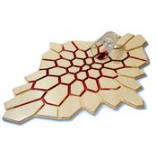 Image of desert mat