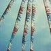 Image of hello, summertime
