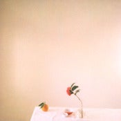 Image of still life with a camelia, tangelo and tiny red bowl