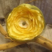 Image of Biggest Blossoms Hair Clip Item#bgblylwpl