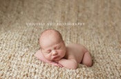 Image of Baby Backdrop  - Natural