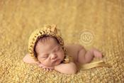 Image of Baby Backdrop - Honey