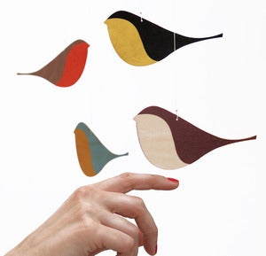 Image of snug.songbirds