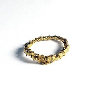 Image of mouse spine ring