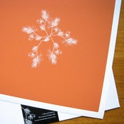 Image of Giclée Prints (Orange)