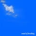 Image of SOUND OF BREATHING